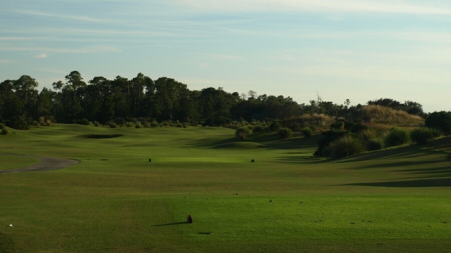 Grand Cypress Resort's New Course - hole 17
