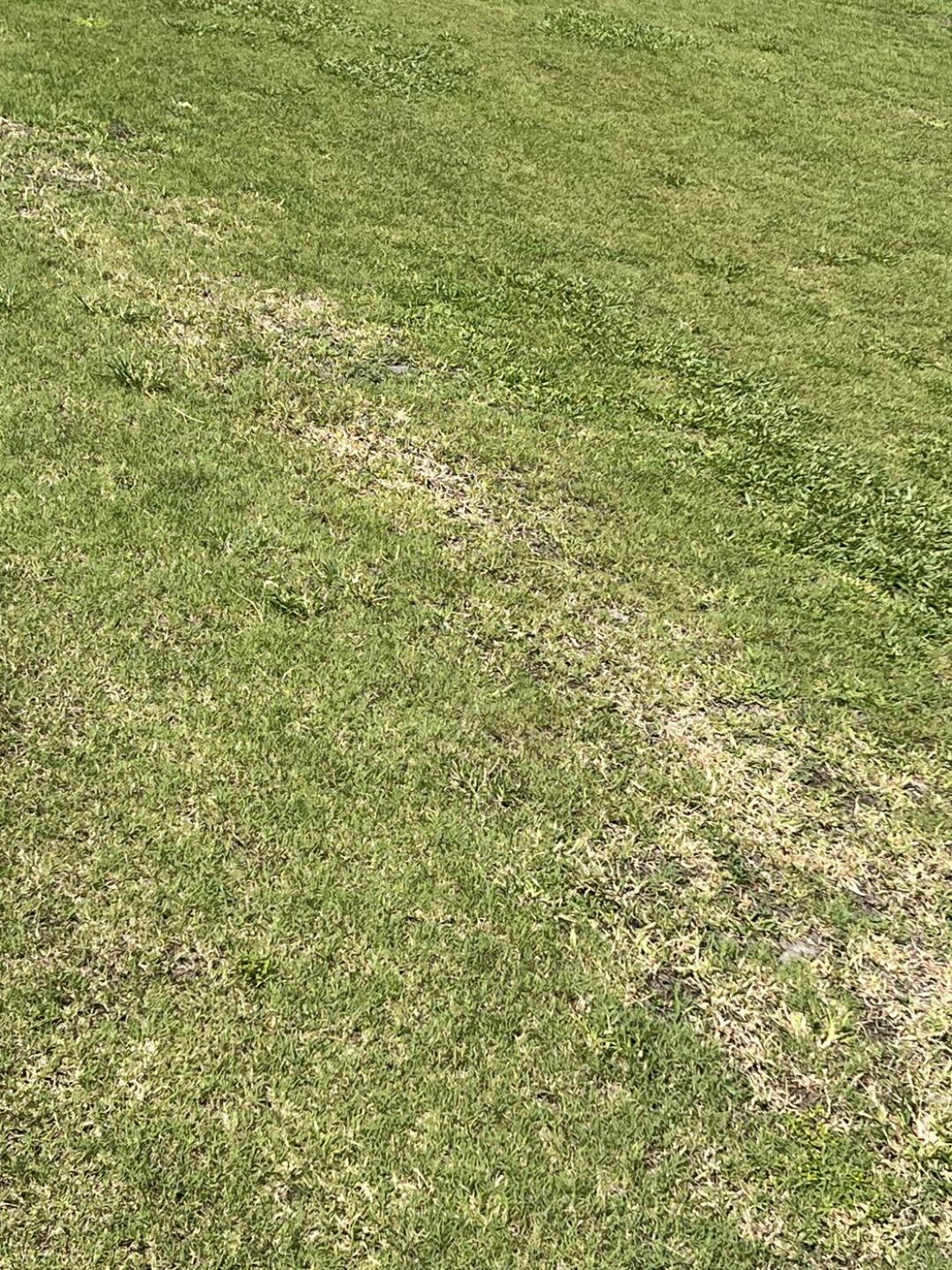 This is center fairway    AWFUL (Photo submitted by u551149055 on 08/11/2024)