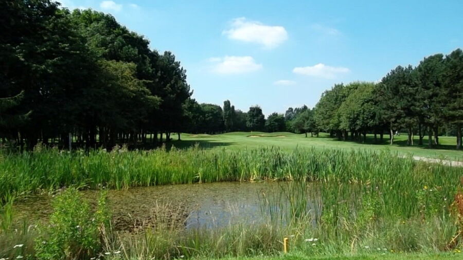 Panshanger GC: 4th green