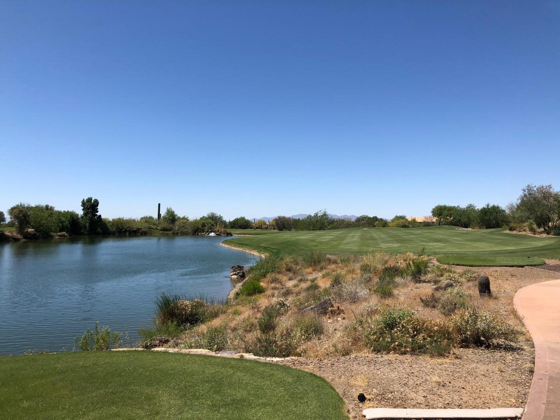 (Photo submitted by doubledubs99 on 06/06/2020)