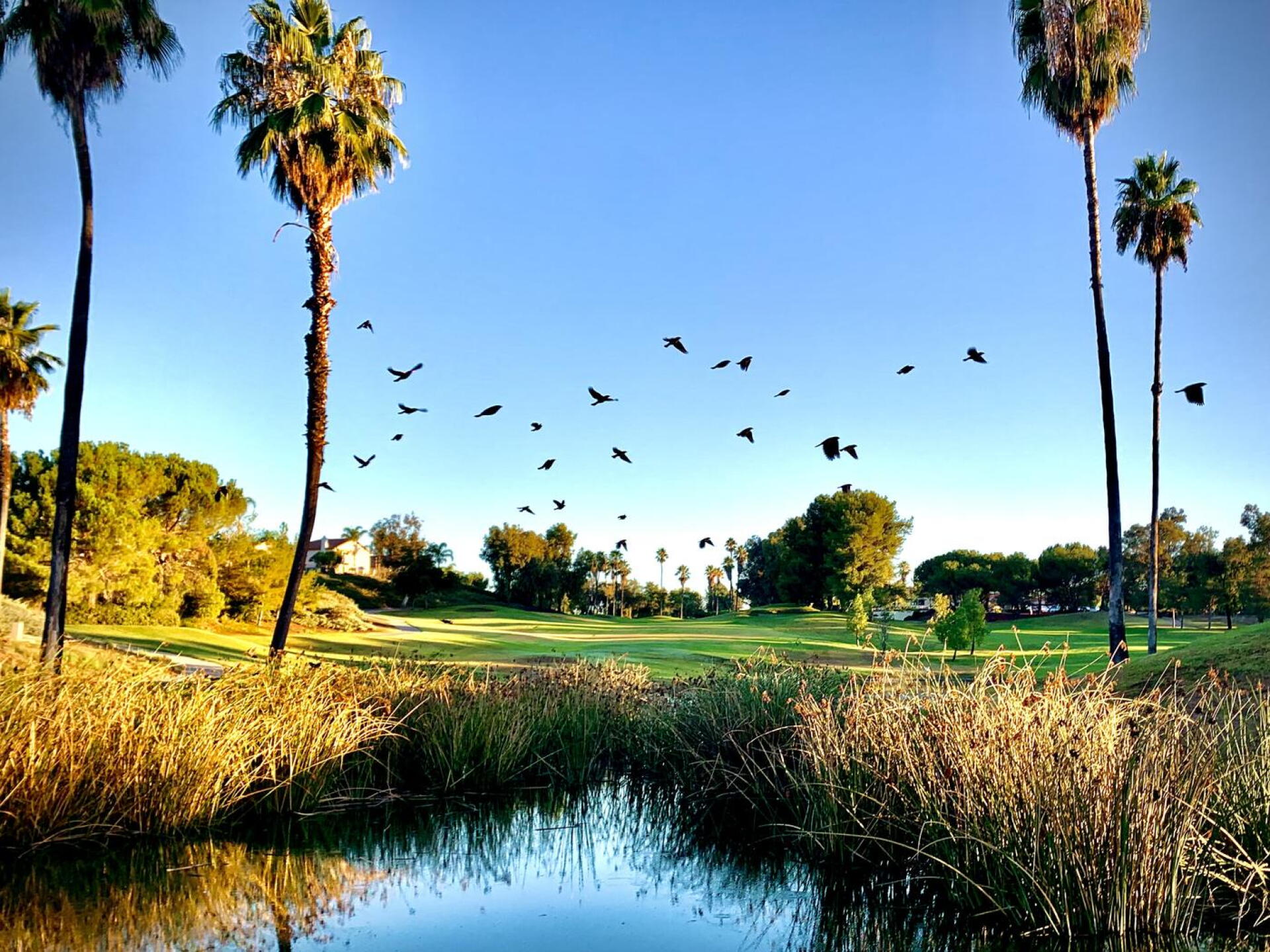 From 8 green looking out towards 9 fairway. I think this would be an awesome Championship tee box for 9. (Photo submitted by AgentBaldEagle on 09/12/2021)