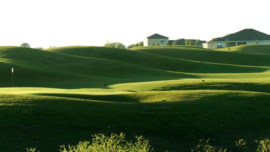 Black Bear GC