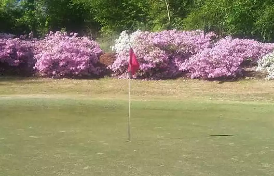 Carolina GC at Botany Woods