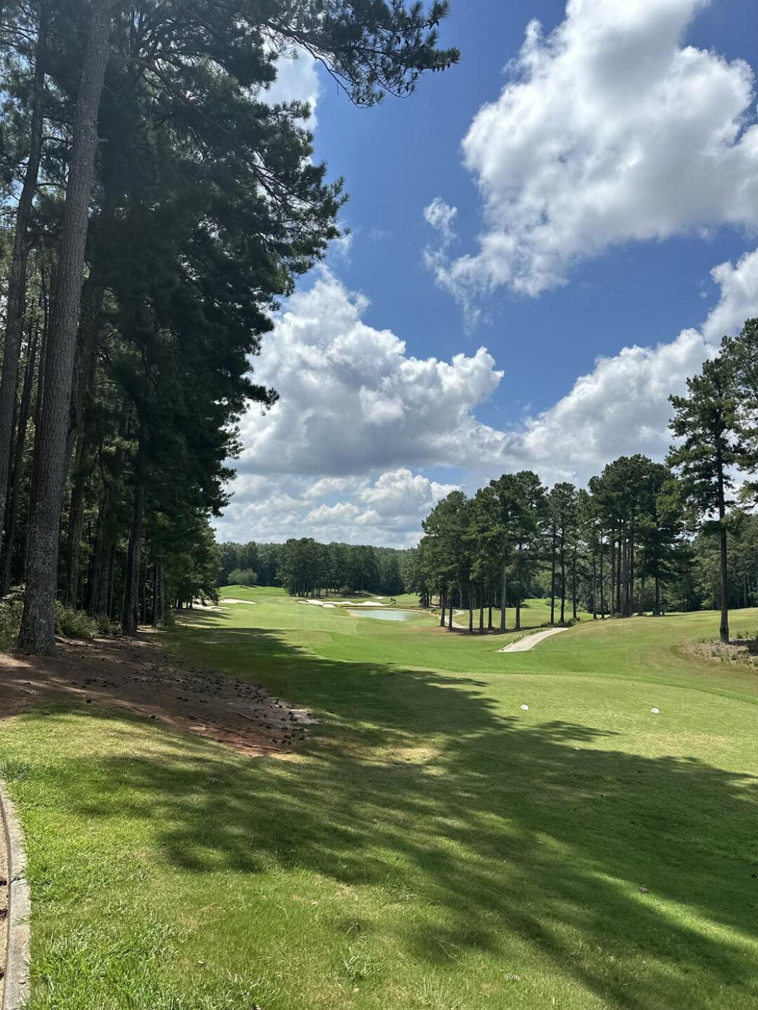(Photo submitted by huntington4par on 07/29/2025)