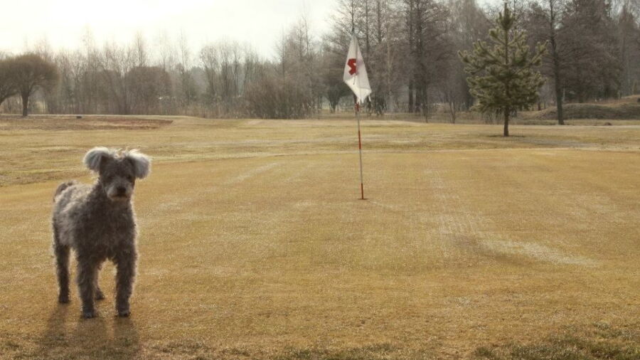 Pickala Golf - Garden Par-3: #4