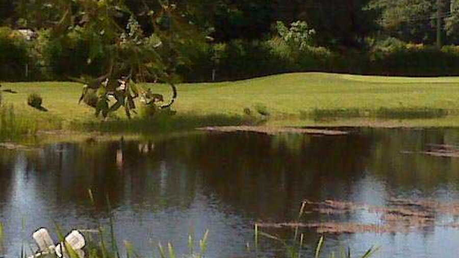 DeMamiel Creek Executive GC