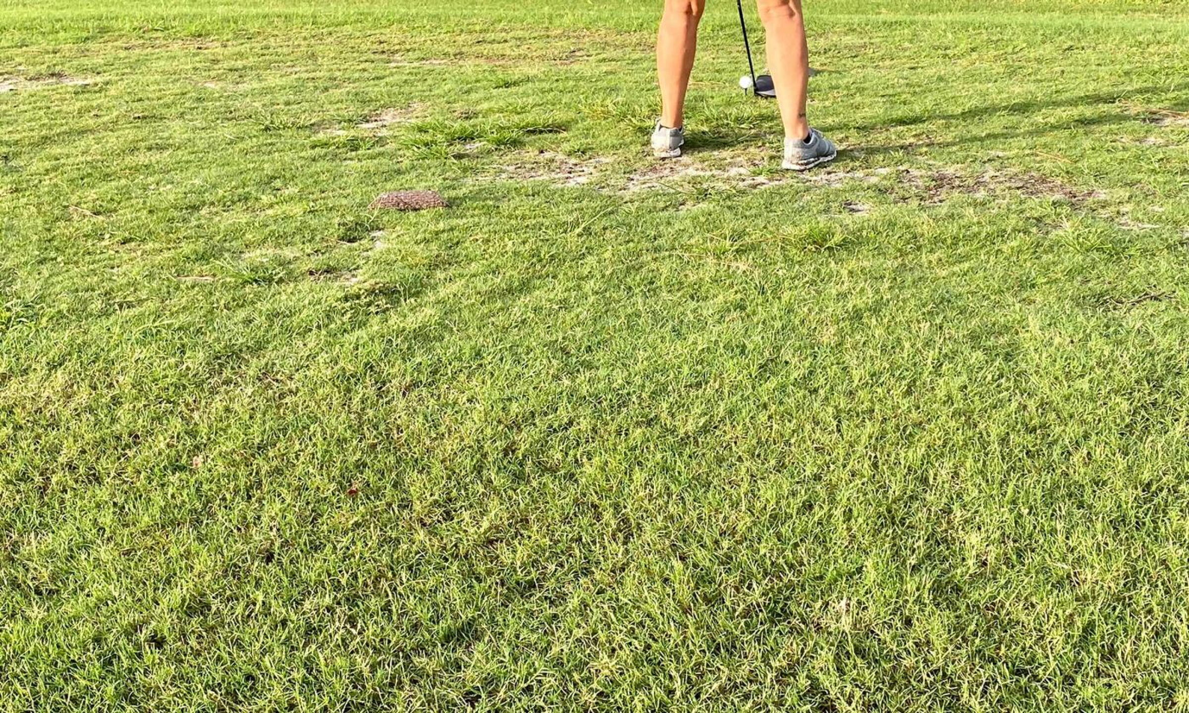 This is the same tee box circled in red, in a nearby image (Photo submitted by srfleury5871 on 08/14/2021)