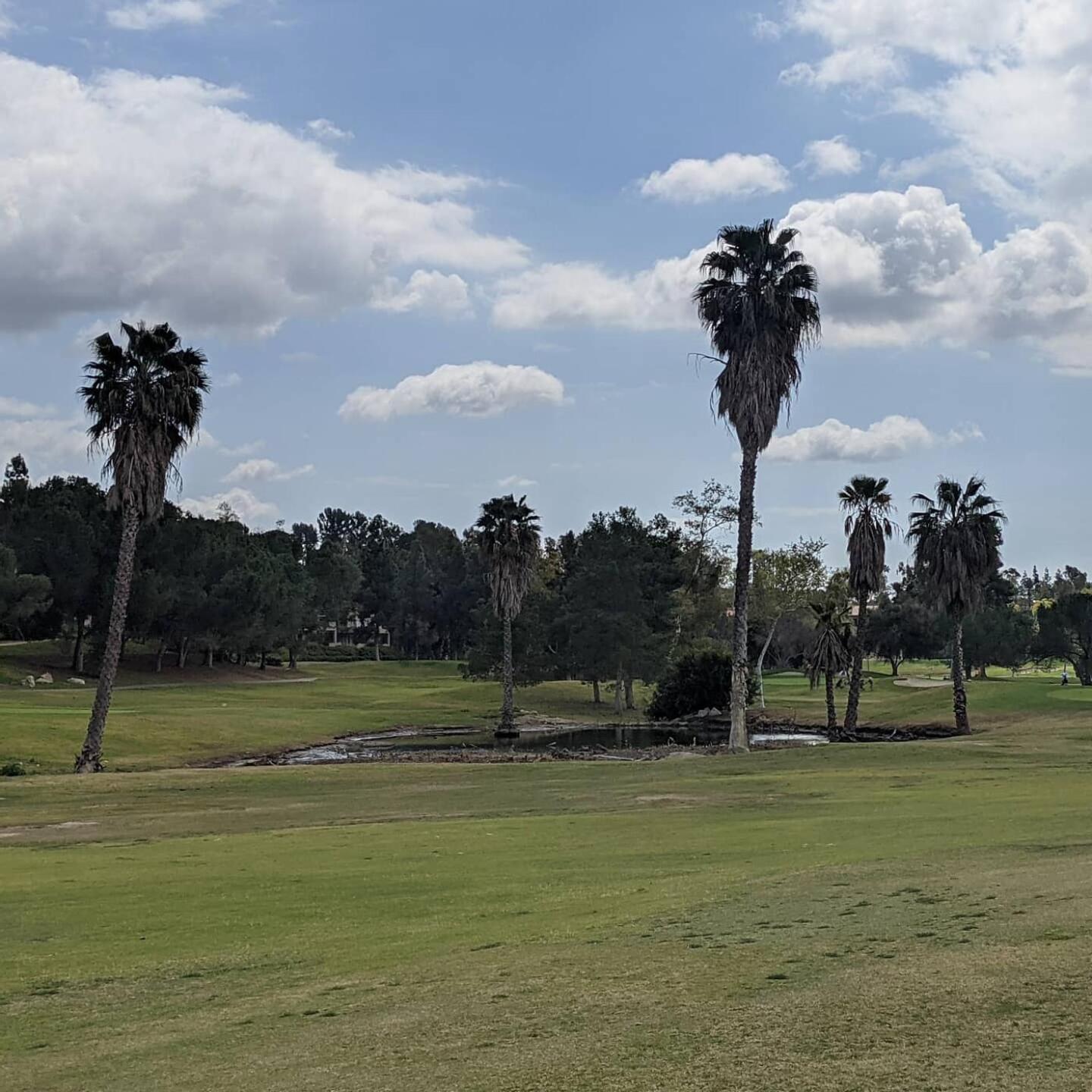 (Photo submitted by dmisen on 03/09/2021)