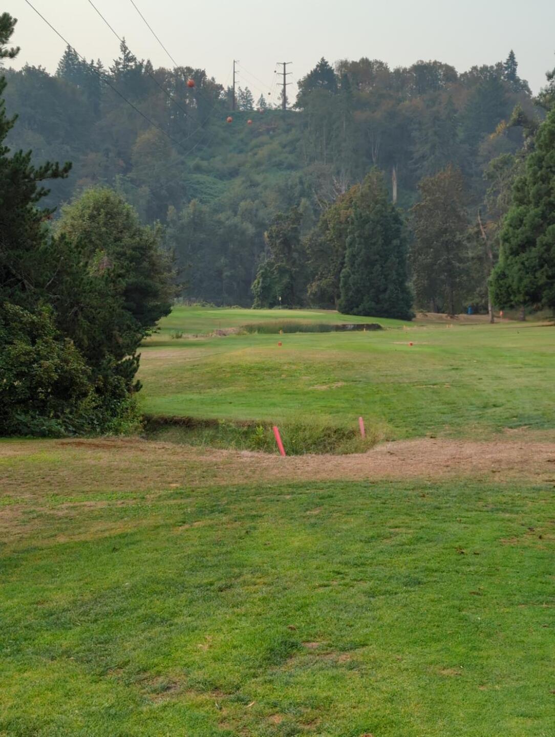 #16 (Photo submitted by Quinndafer on 09/13/2022)