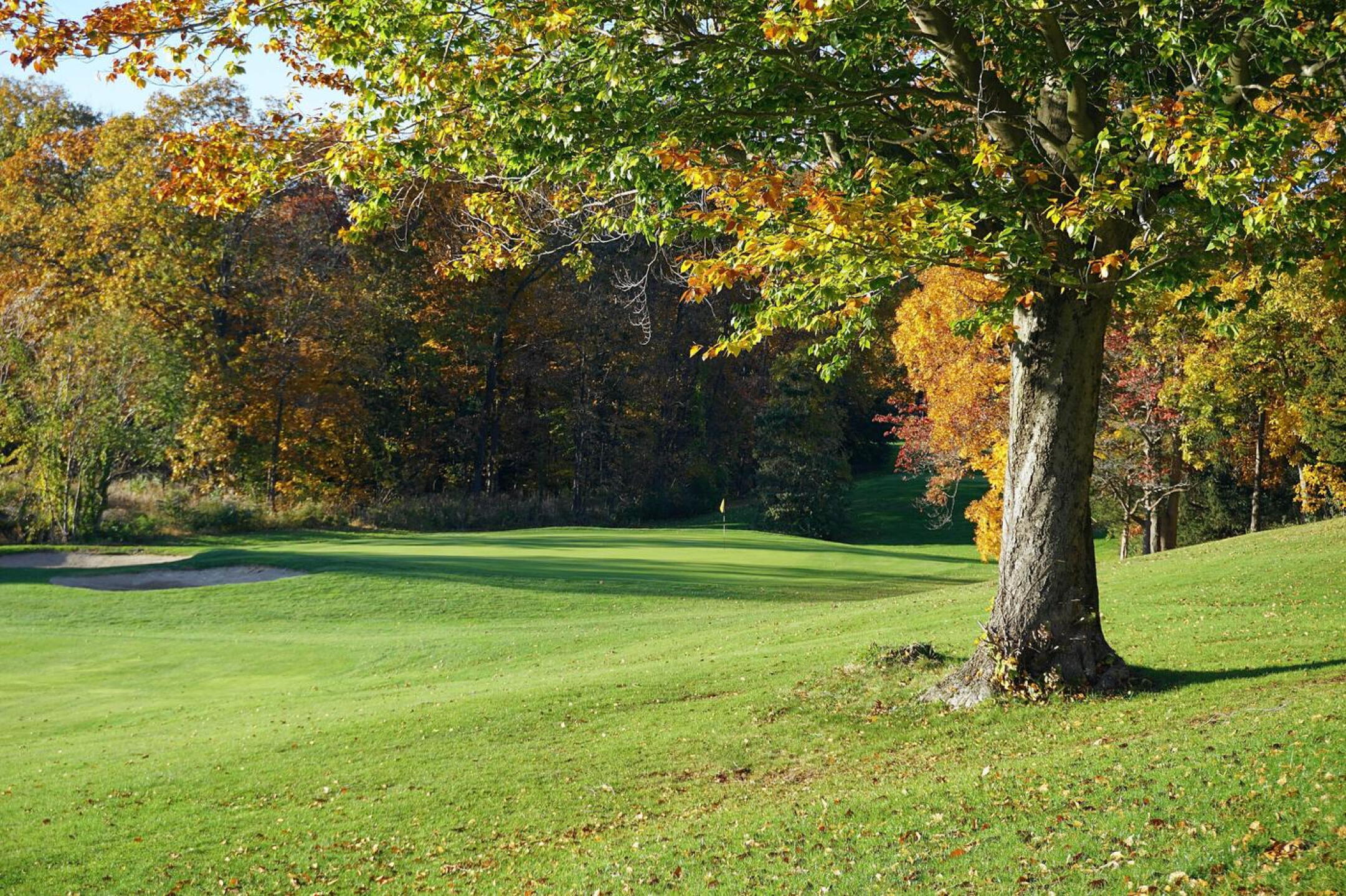 Hole ten’s green complex, as seen from the right rough. (Photo submitted by AptlyLinked on 11/04/2021)