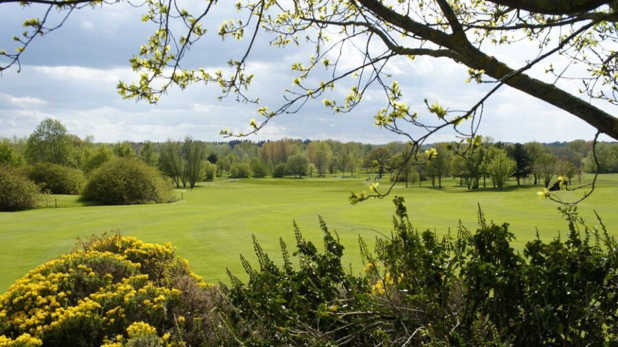 Wychwood GC: #18