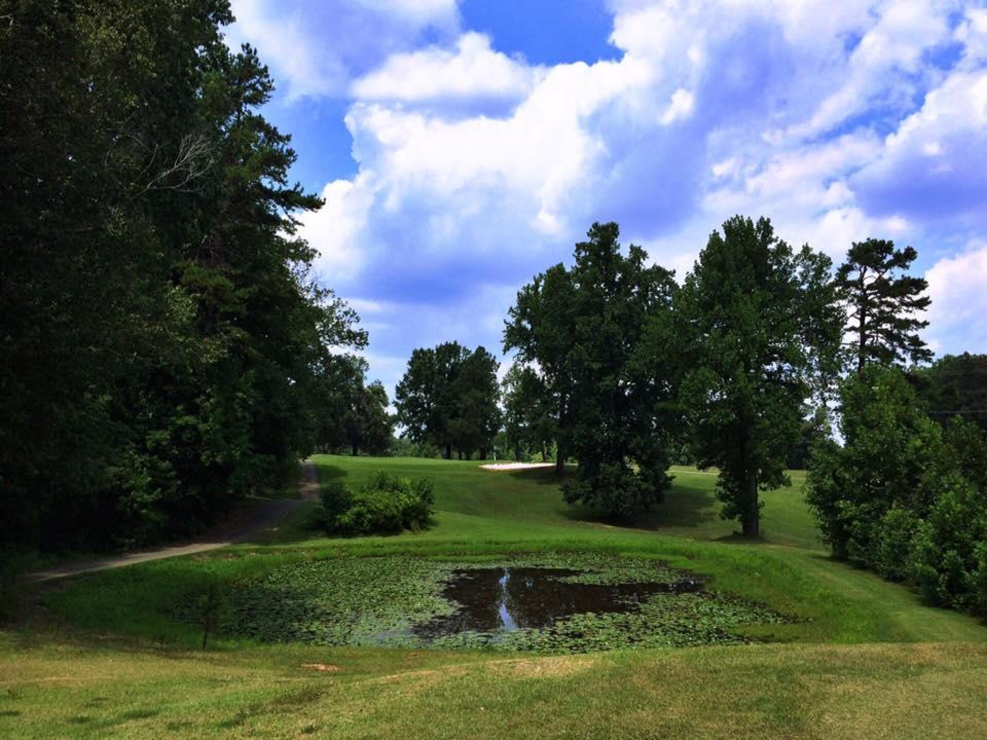 Par 3 on the back (Photo submitted by jrobinett on 07/25/2015)