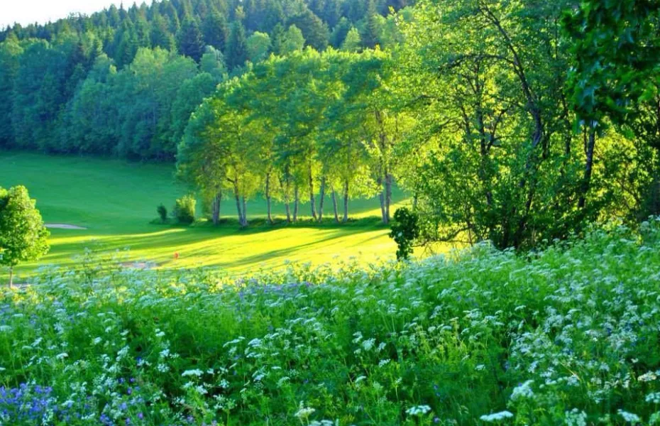 Pontarlier les Etraches GC