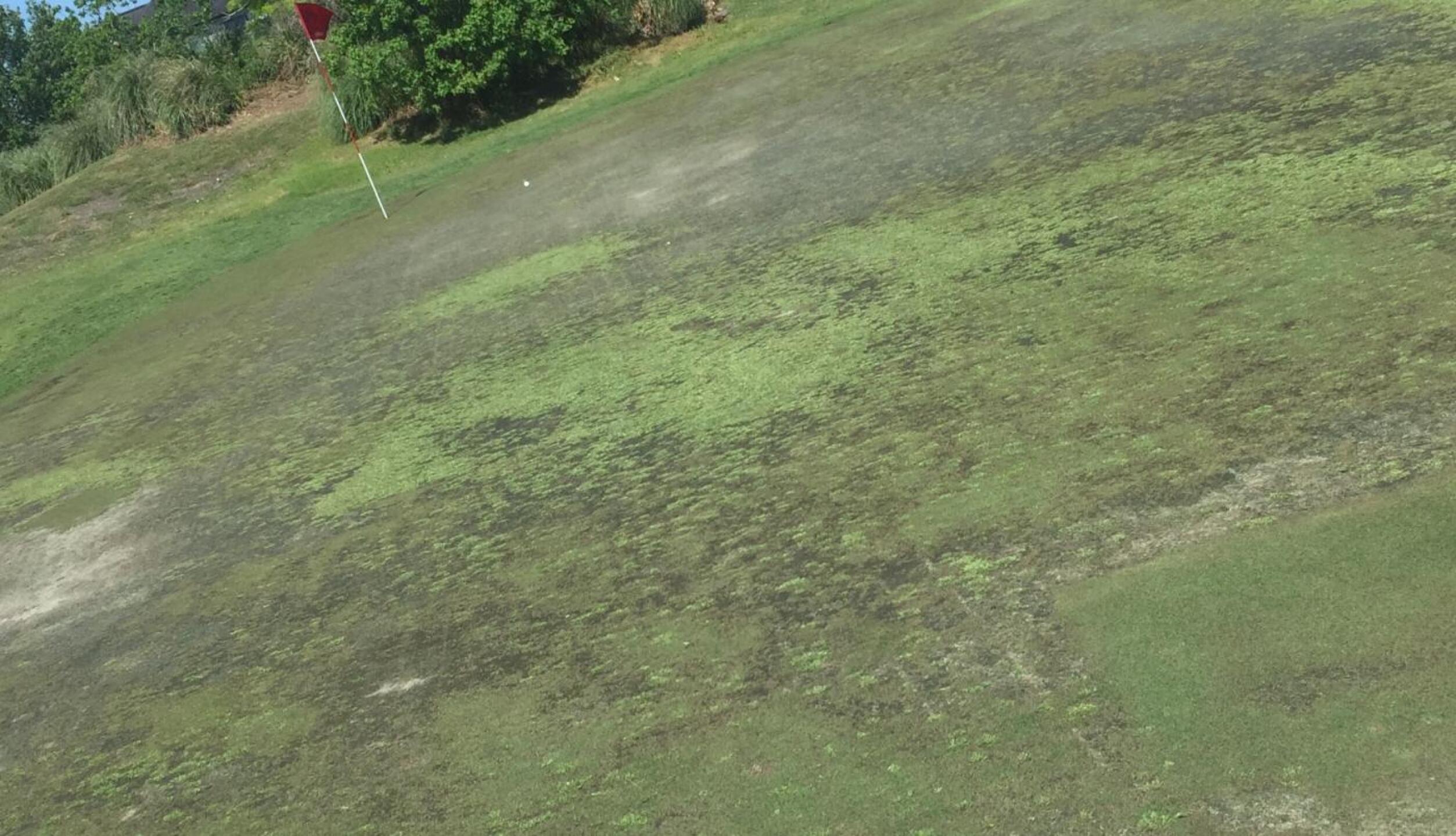 No 7 green (Photo submitted by u000008047504 on 04/17/2019)