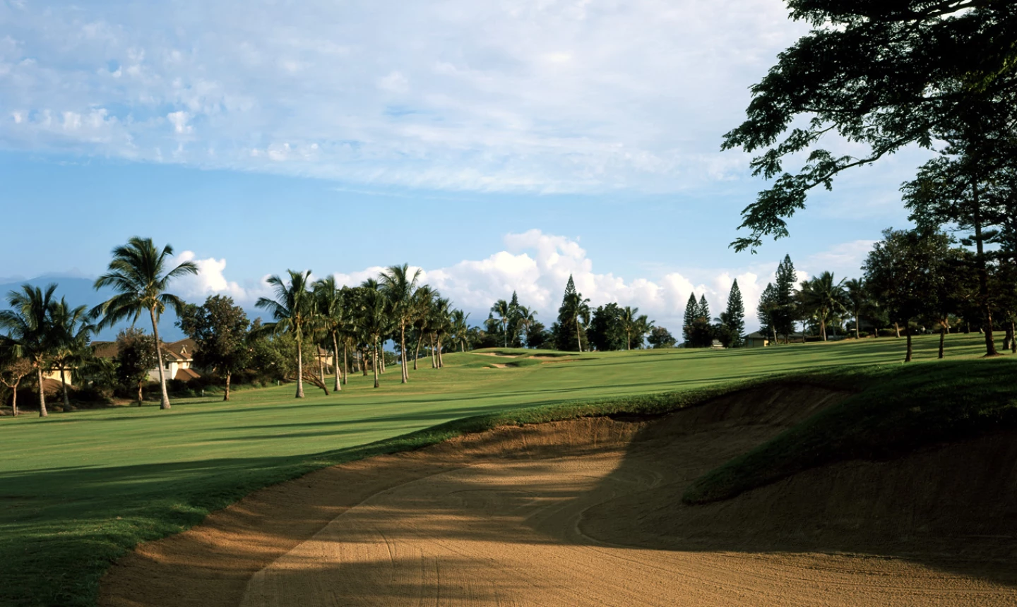 Ka'anapali Kai golf course - 8th