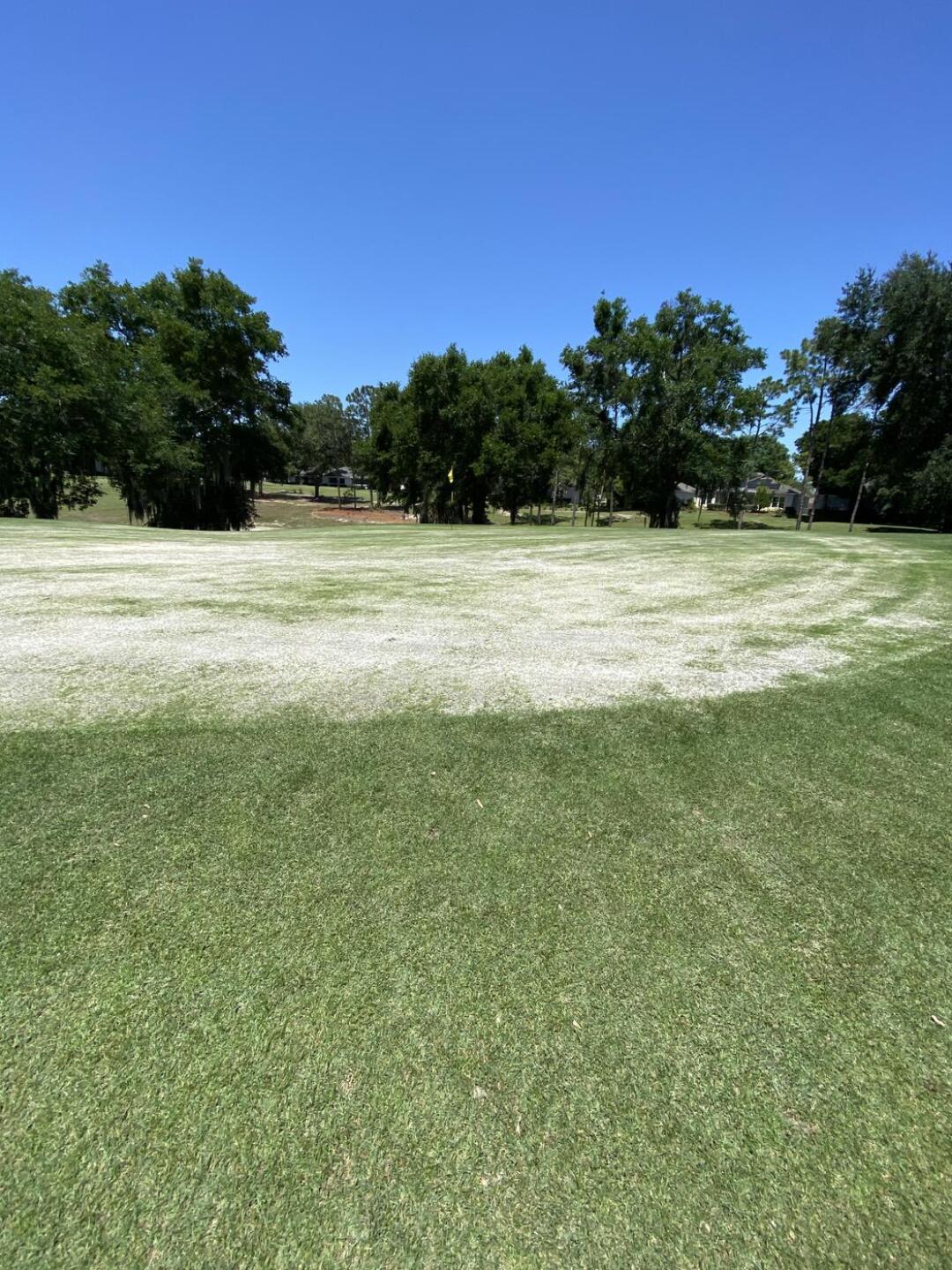 (Photo submitted by doucherbagger on 04/22/2021)