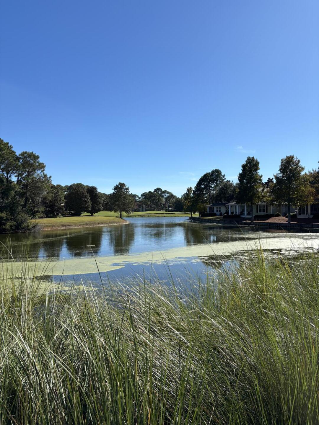 (Photo submitted by BuzzEng on 11/13/2025)