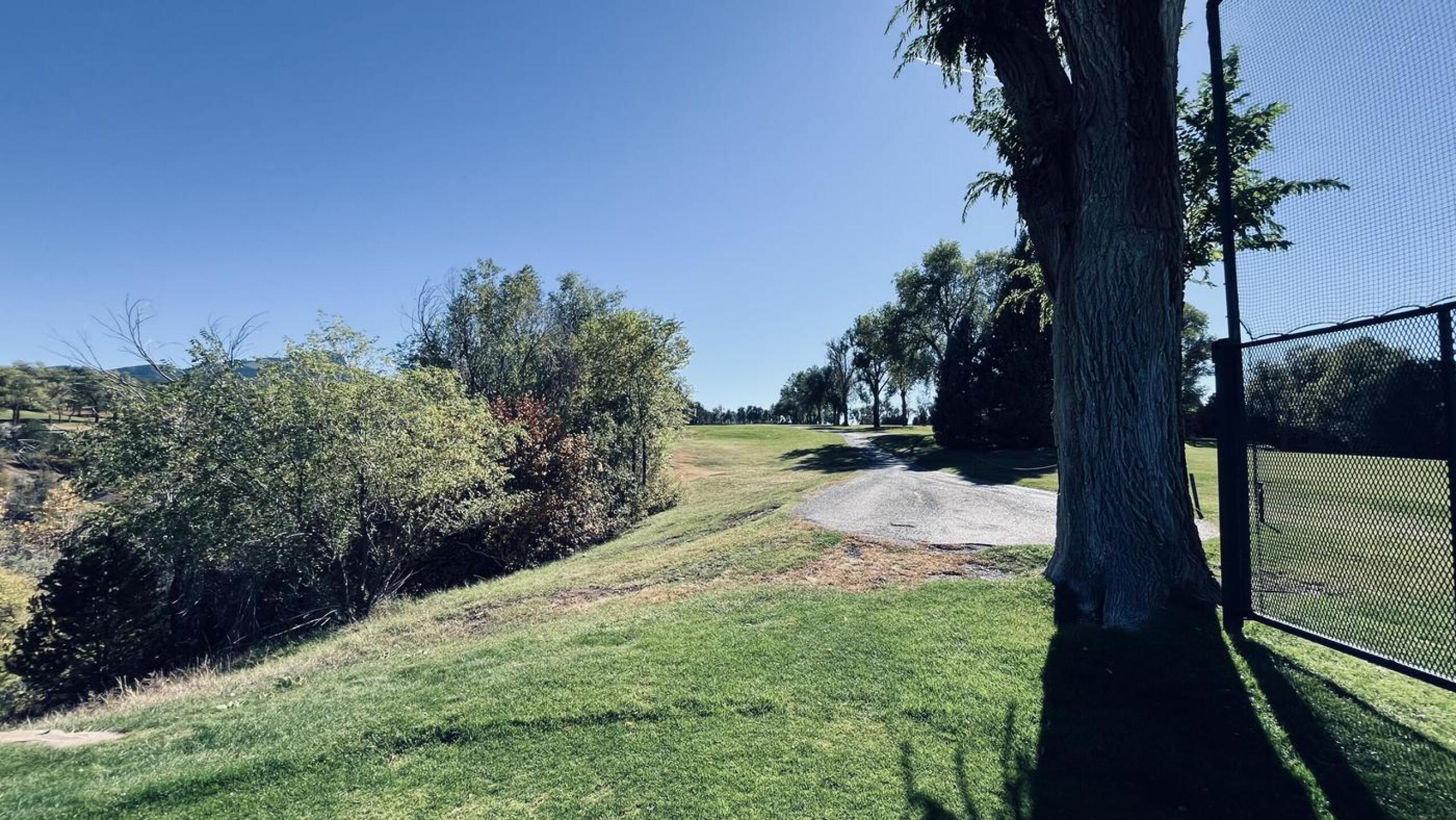 (Photo submitted by UUuPsc2jgLSdMs01QwRv on 10/24/2024)