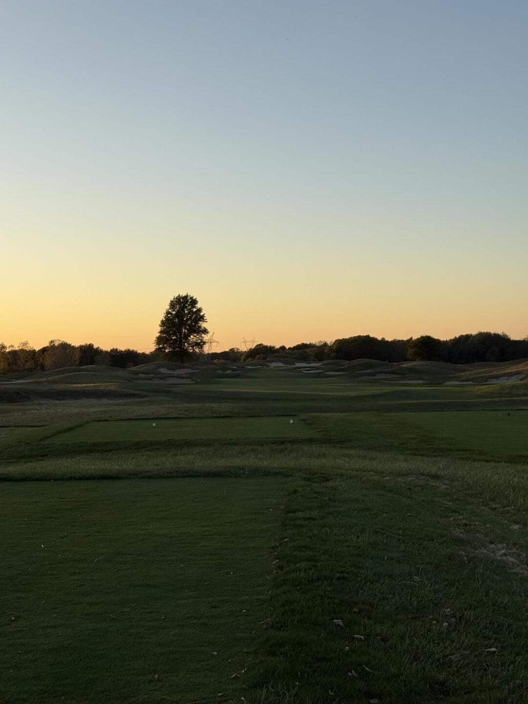 (Photo submitted by u950185714 on 10/12/2025)