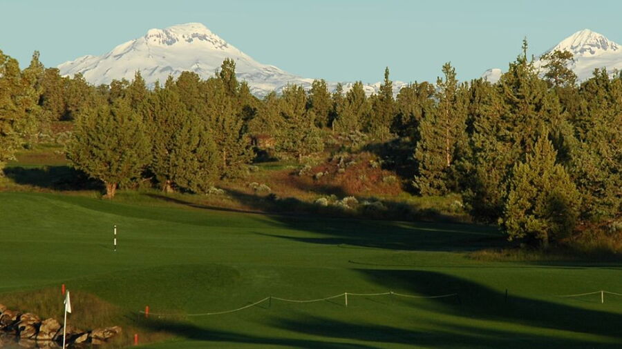 Juniper GC