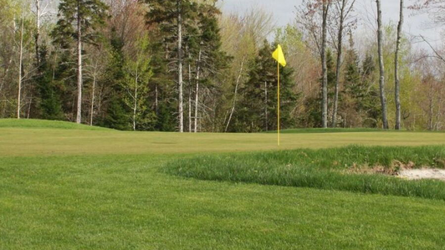 Traditions GC - Island Green Golf Center: #7