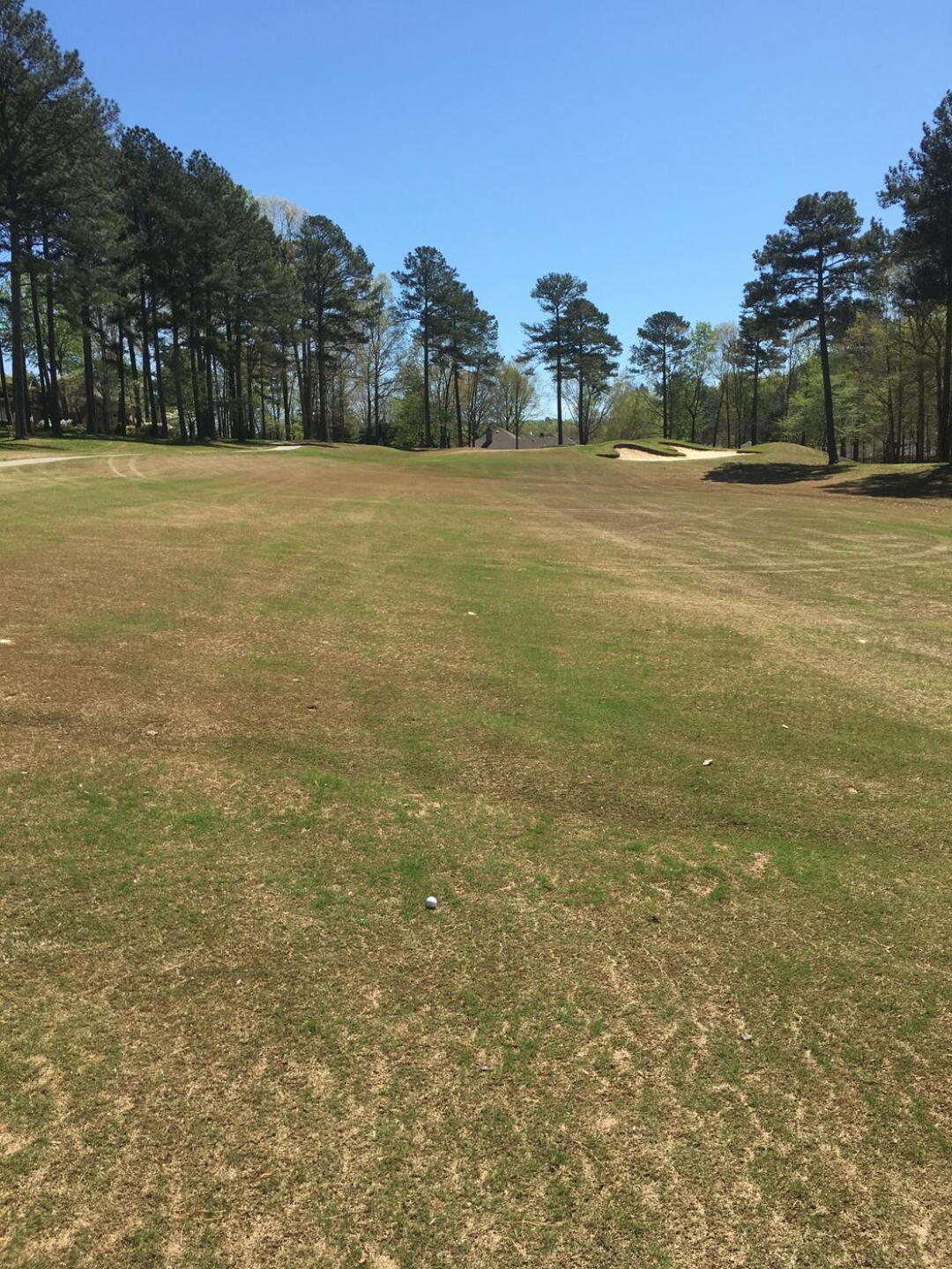 (Photo submitted by Bryan7393371 on 04/03/2020)