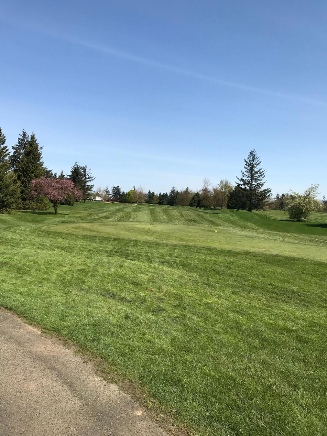 (Photo submitted by GREGCGOLFER on 07/12/2018)