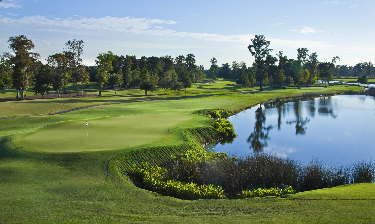 TPC Louisiana - No. 9