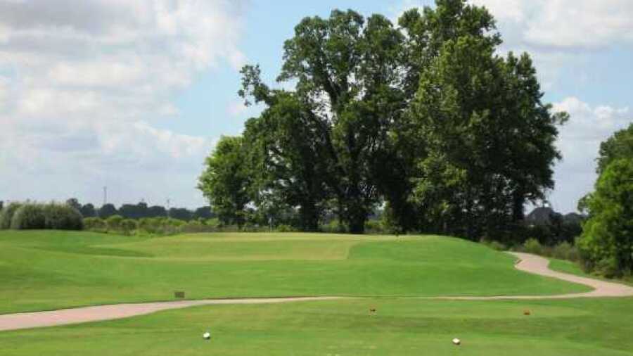 Links on the Bayou: #14