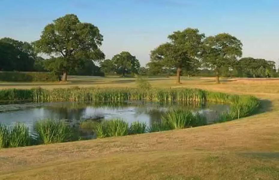 17th at Forest of Galtres
