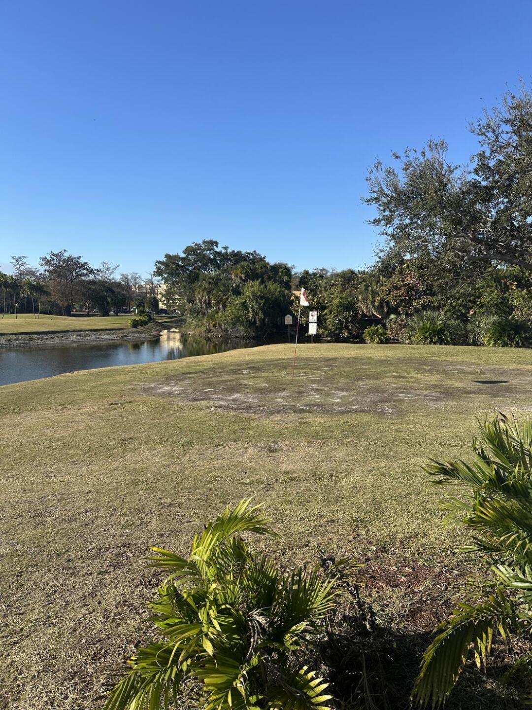 (Photo submitted by Mdc10817 on 02/07/2026)