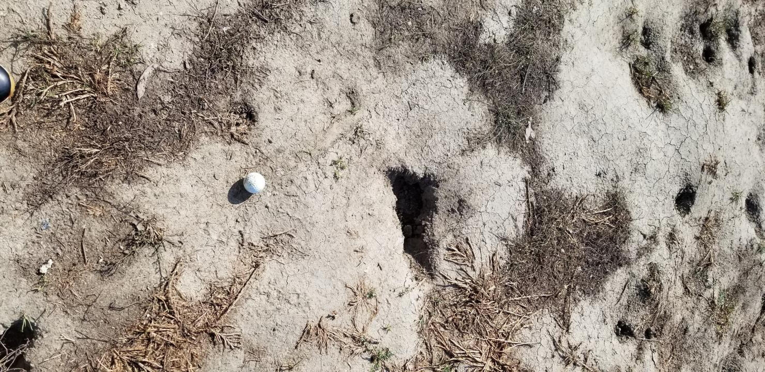 Ball landed in the middle if the fairway (Photo submitted by rgibson on 10/27/2020)