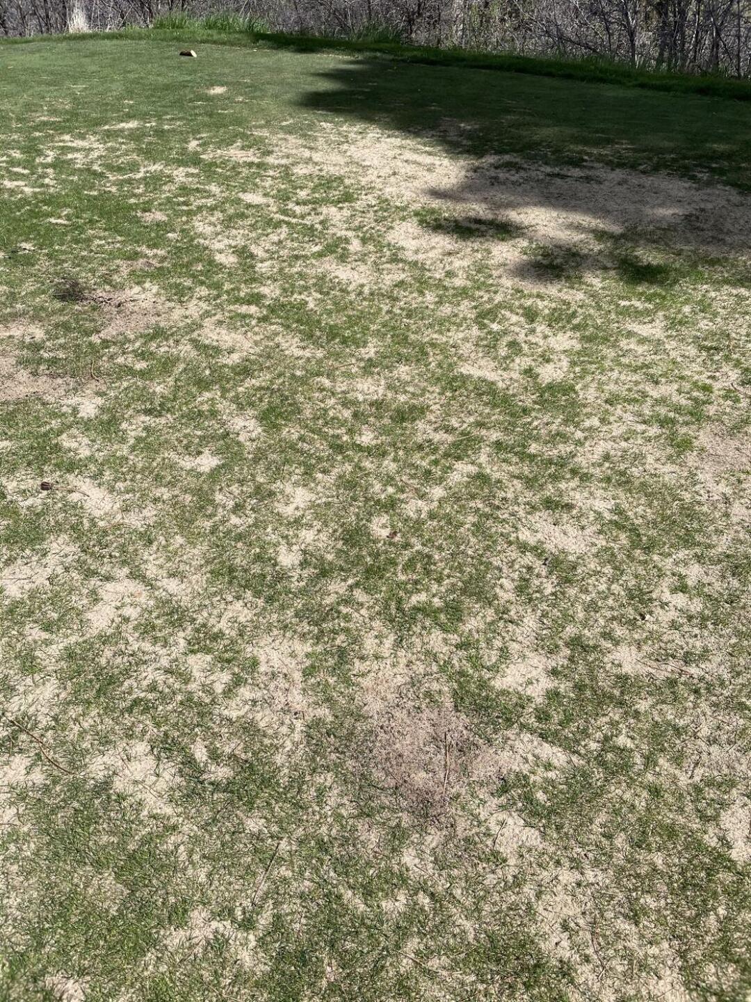 (Photo submitted by u000005577052 on 05/20/2021)