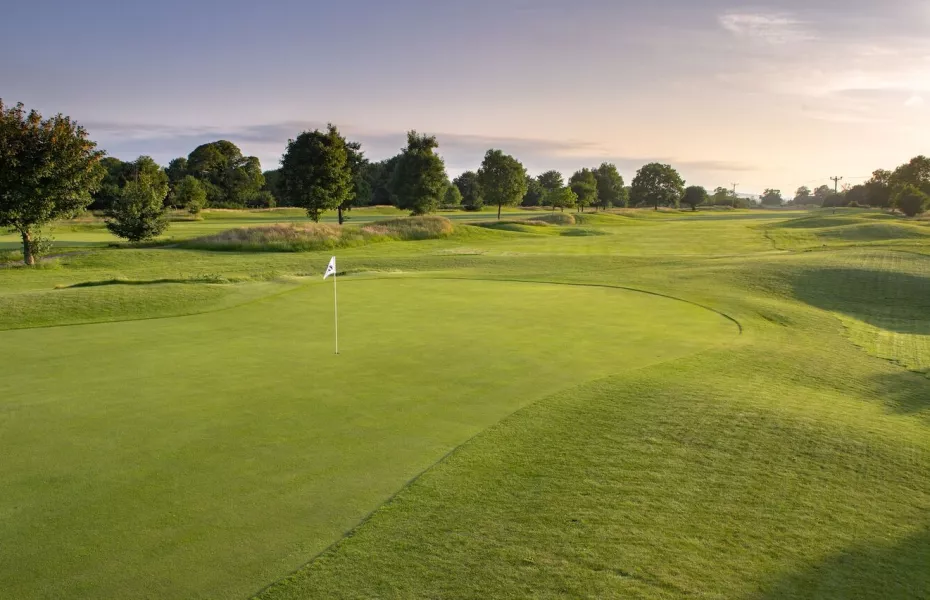 Mad Swans in The Mendips: #6