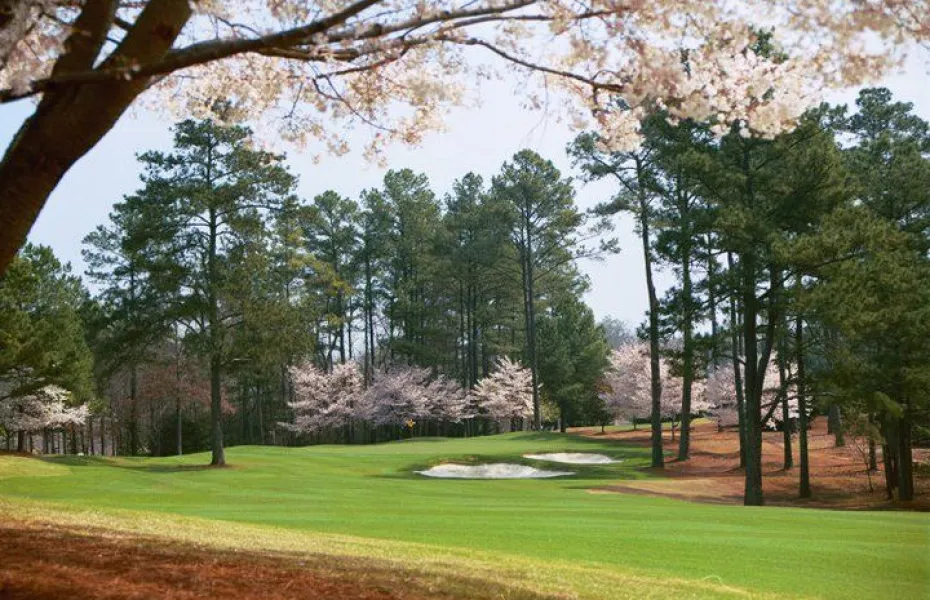 Creekside at GC of Georgia: #18