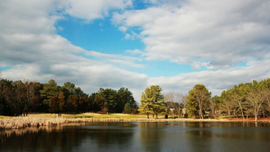 Greens at Tanyard: #3