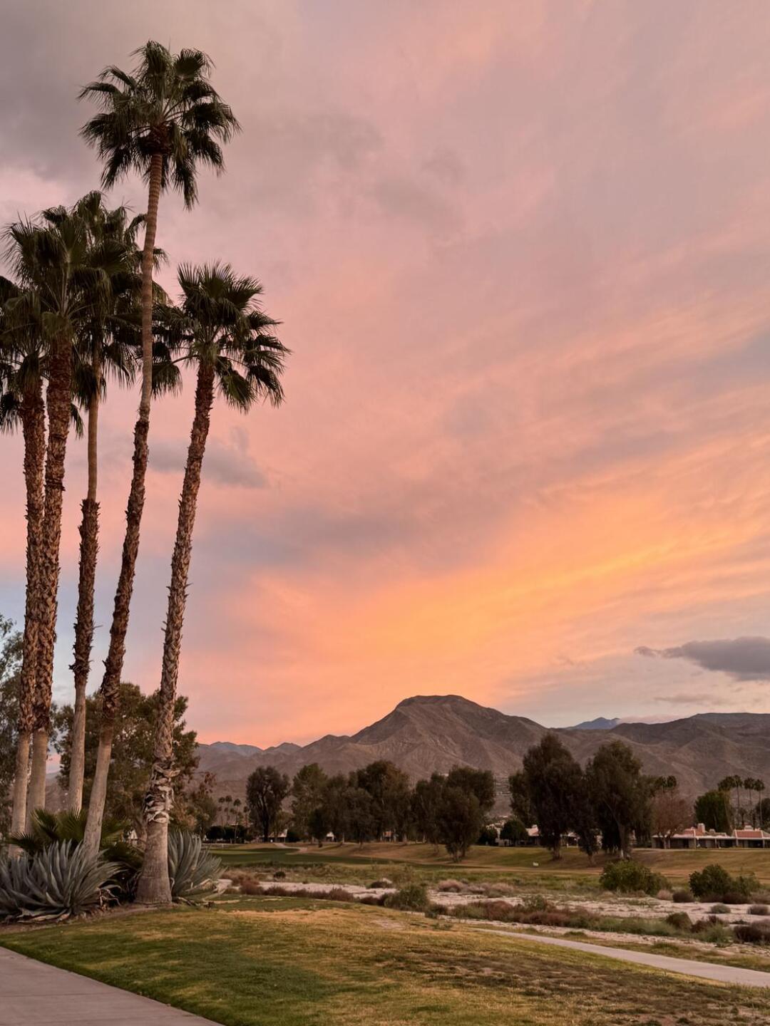 (Photo submitted by DenisenBob on 02/11/2026)