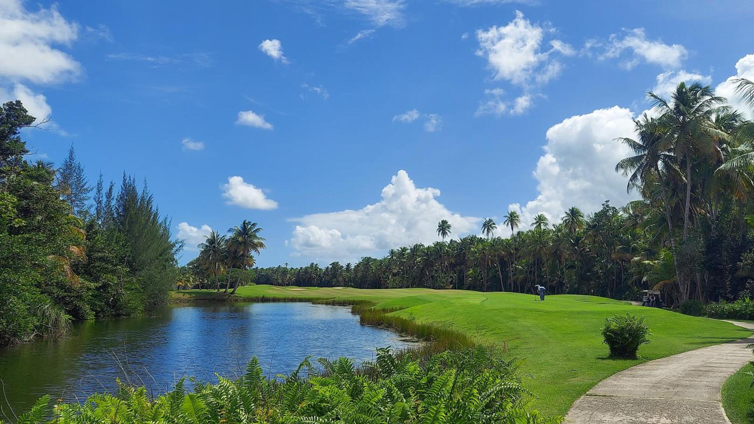 (Photo submitted by Cigala on 01/26/2021)