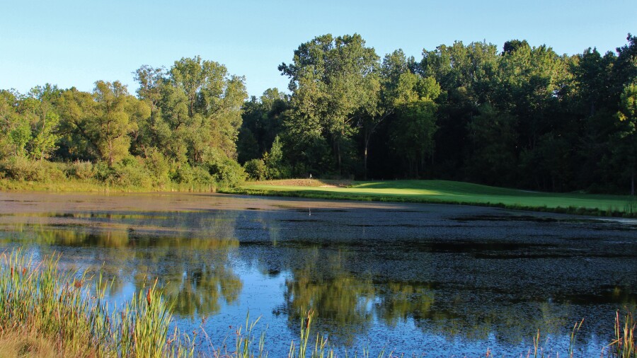 Bull at Pinehurst Farms golf course - hole 15