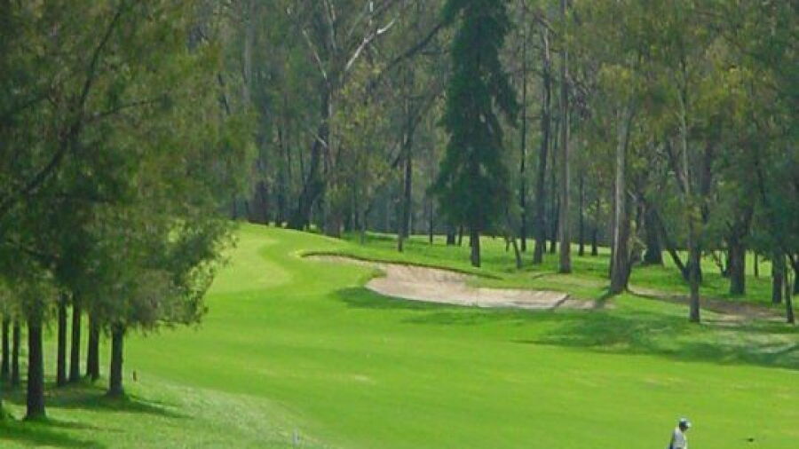 Madeiras CC