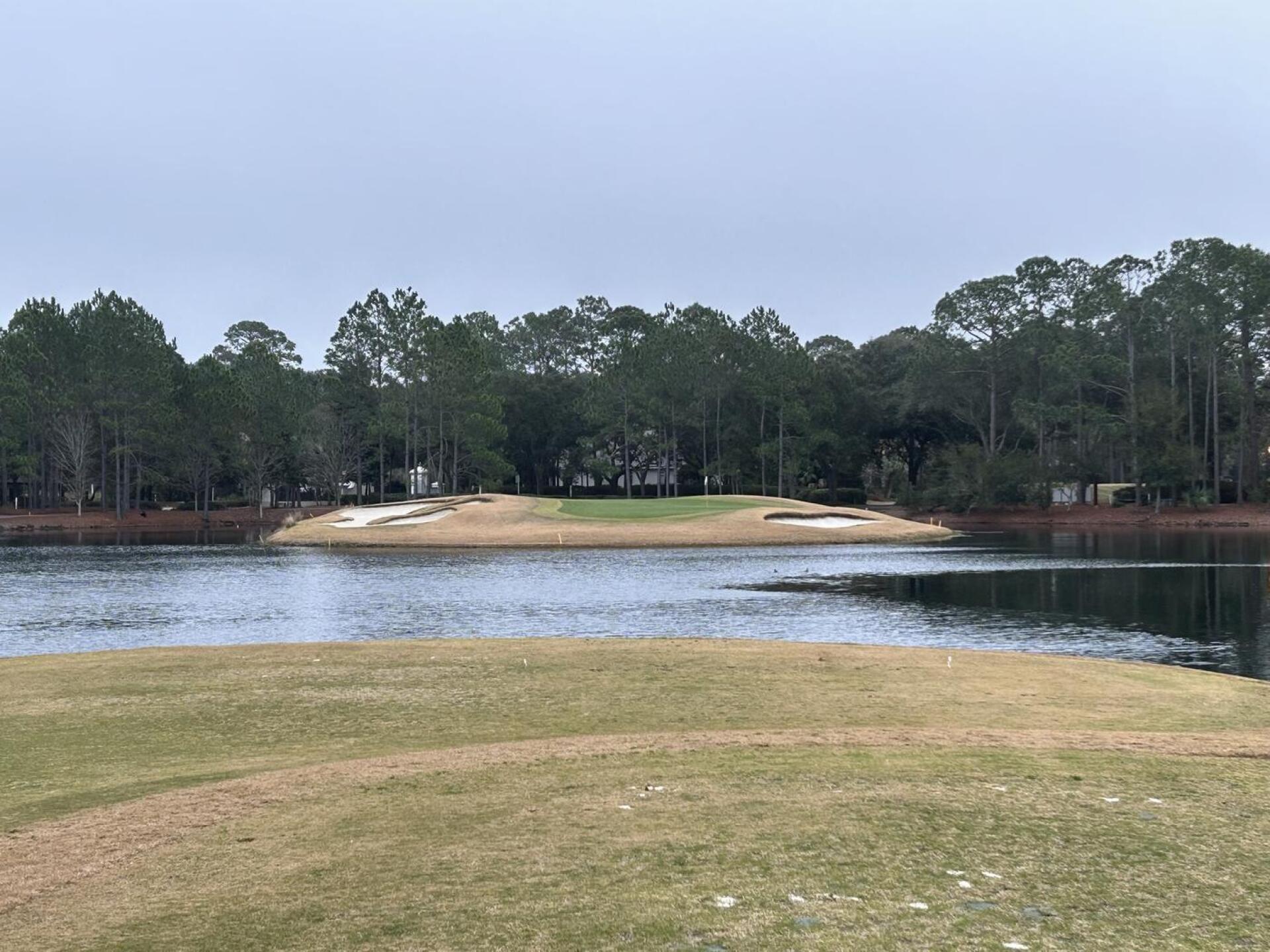 (Photo submitted by Hamster85 on 01/27/2024)