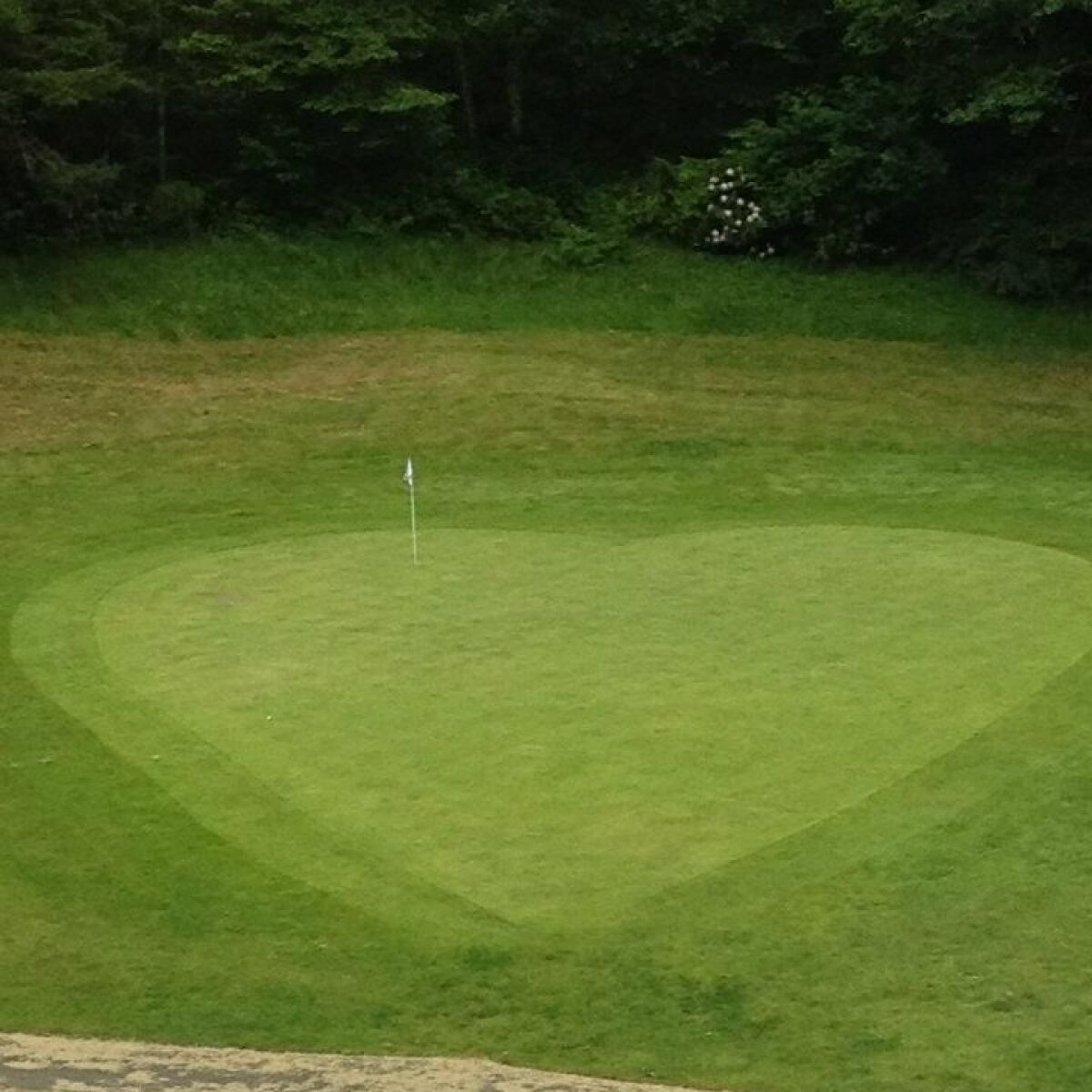 Olalla Valley Golf Course in Toledo, Oregon, USA GolfPass
