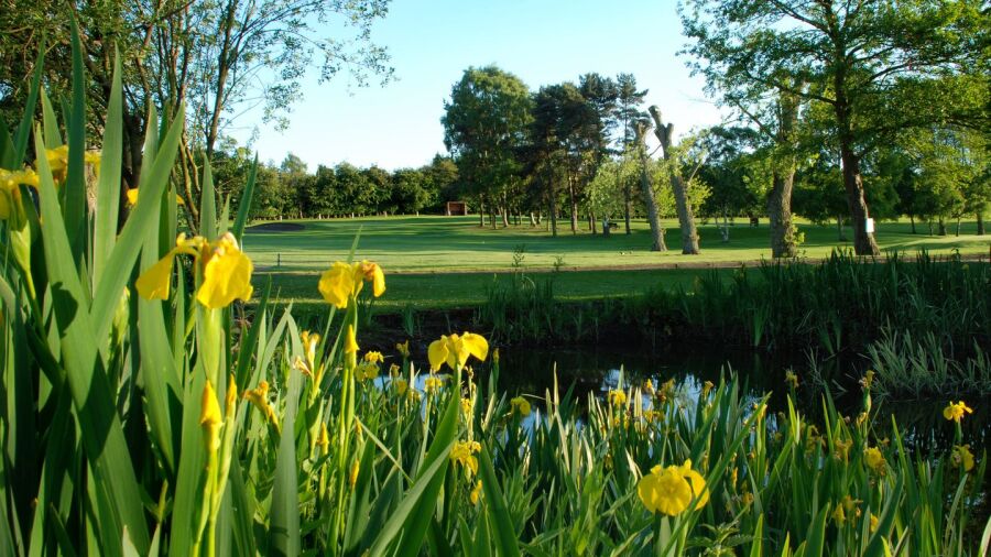 Pike Hills GC: #15