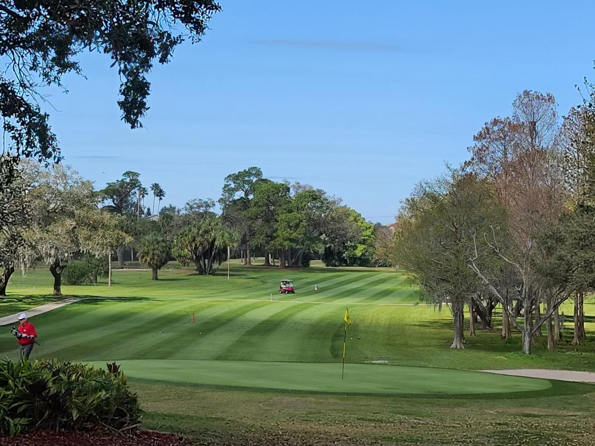 (Photo submitted by bxwhit3 on 03/01/2021)