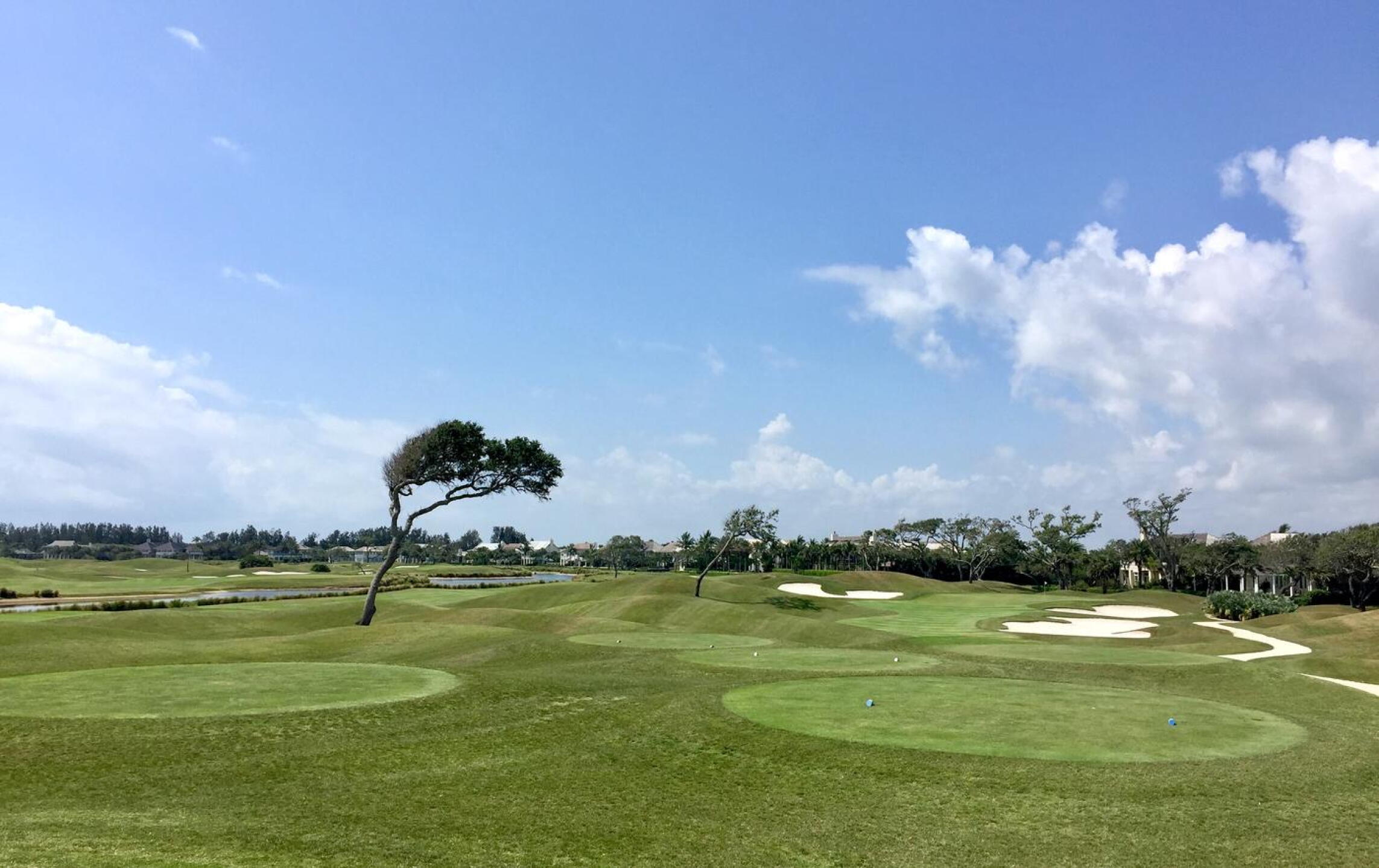 The par-3 12th offers a sweeping view of the "savannah" nature of much of the course. (Photo submitted by TimGavrichGP on 11/08/2017)