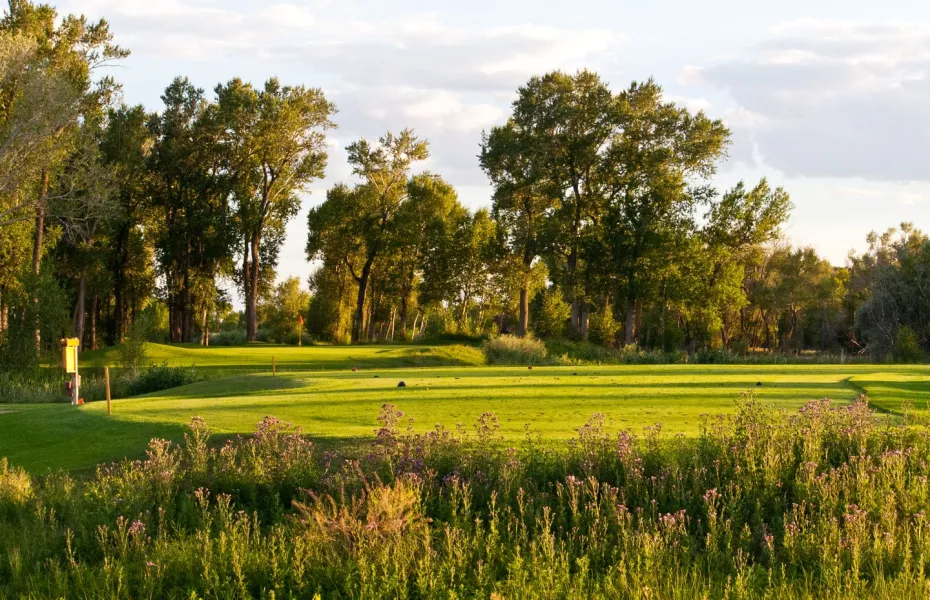 Cattails GC: #13