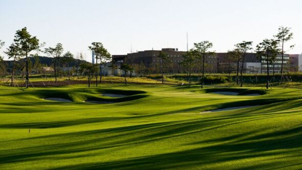 Bear's Best CheongNa GC