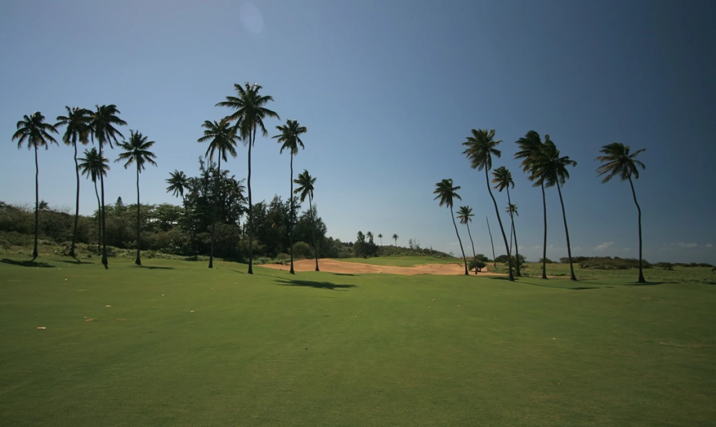 Royal Isabela - Puerto Rico
