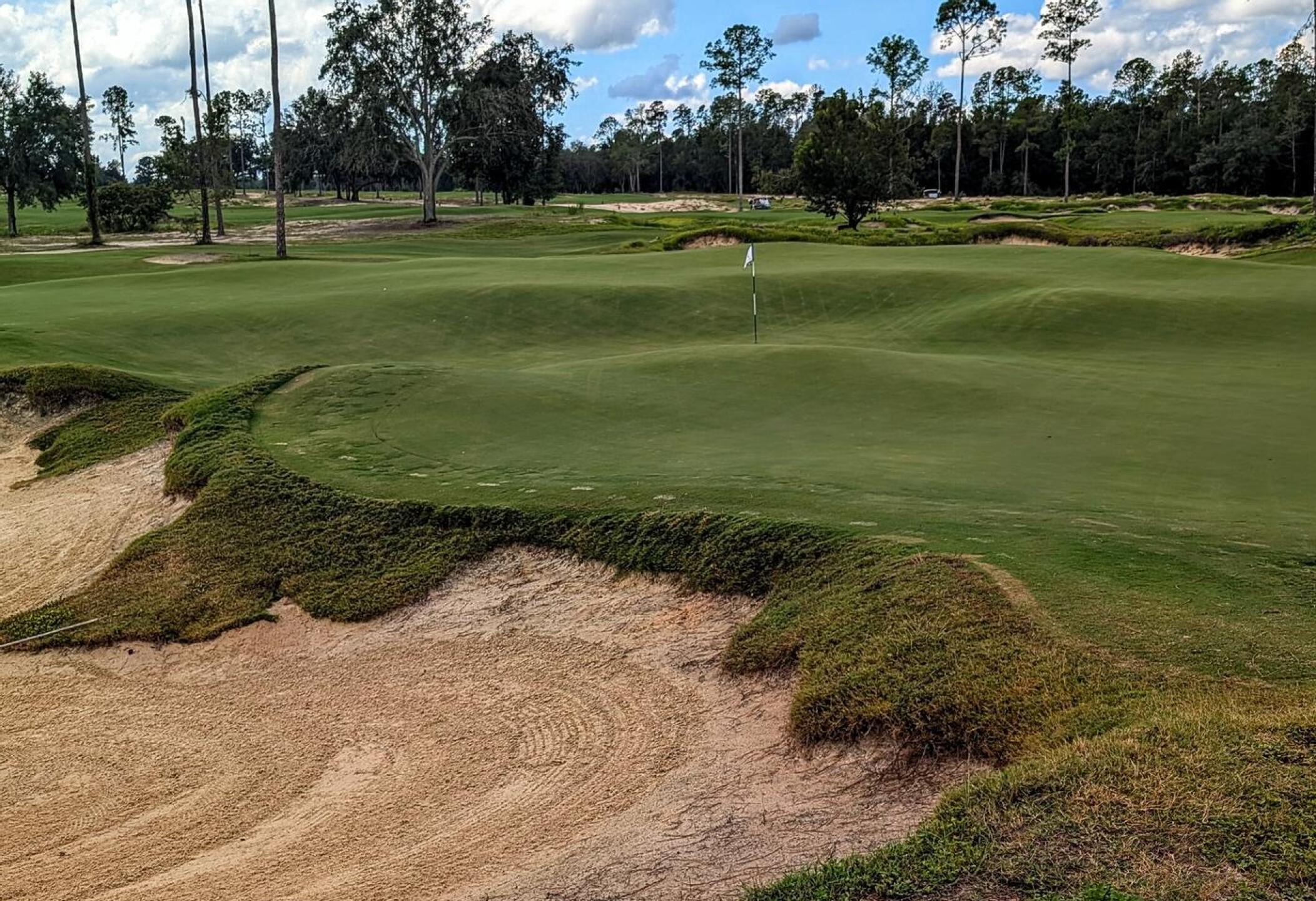 (Photo submitted by Snaphook417 on 10/18/2025)