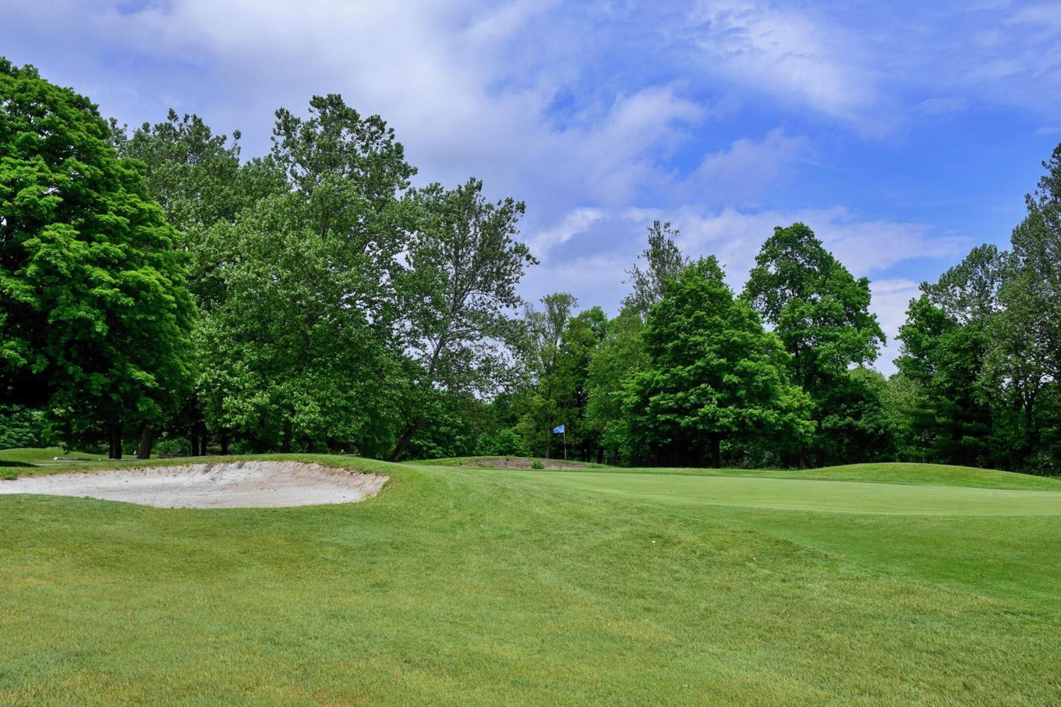 Eighth green: A complex golf hole that features water, ample bunkering, and a raised and large bi-level green, which provides a variety of options for pin placements. (Photo submitted by AptlyLinked on 06/01/2025)